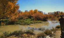 成语故事：死而不朽