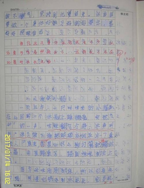 [八月一篇文章]生活需要体验_2000字