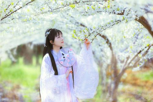 赵子梨花和雪_650字