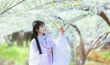 朝忆梨花暮忆雪_650字