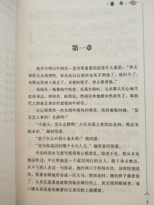[2016年最终论文]在黑暗中寻找明亮 - 阅读“童年”_450字