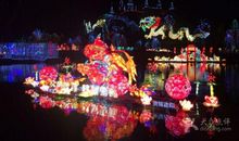 迎灯会，美丽德阳_450字