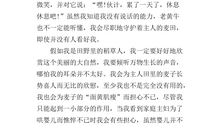 [2016期末征文]读《稻草人》有感_400字