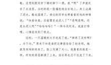 我想这样设计我_550字