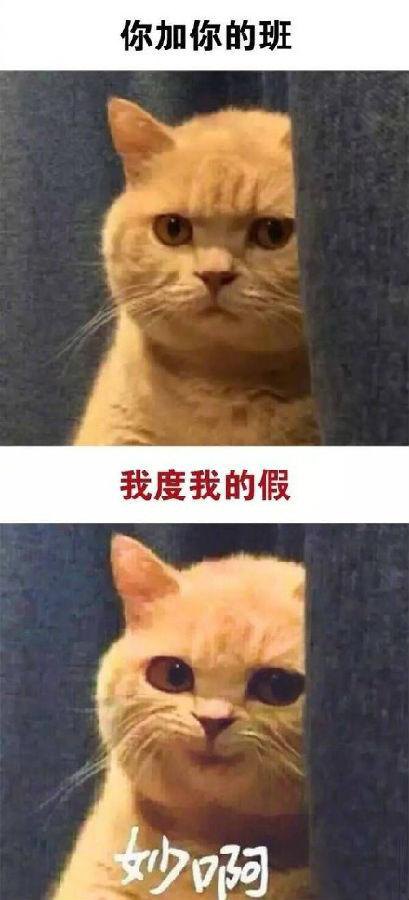 [八月刊]半夏季中国_1200字