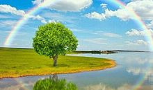 彩虹和风雨的对话_500字