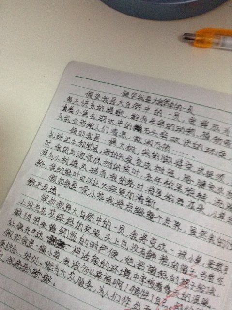 飞，留下_450字