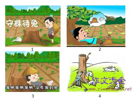 关于兔的成语汇总