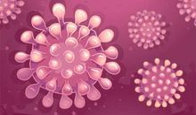 关于新型冠状病毒肺炎作文：中国  加油！_1000字