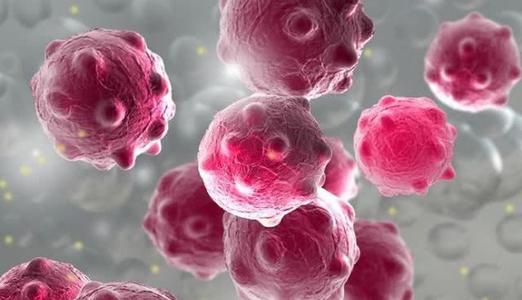 关于新的冠状动脉病毒肺炎组成：间隔_650字