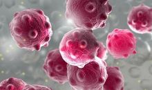 关于新型冠状病毒肺炎作文：隔离者_650字