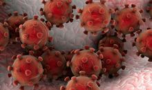 关于新型冠状病毒肺炎作文：新型冠状病毒的自述_450字