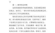 热闹的足球赛_350字