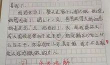 关于偶像的作文：我的偶像库里_800字