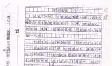 关于偶像的作文：一个让我难忘的人_350字