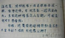 关于偶像的作文：蜡炬成灰泪未干_900字