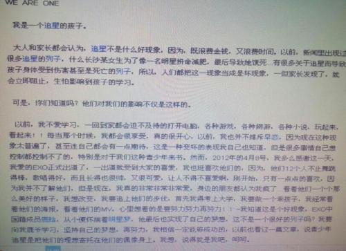 偶像上的组成：我的偶像（3）_900字