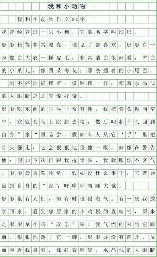动物战争46_300字