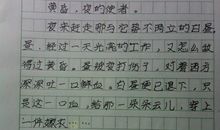 关于和谐的作文：找到和谐_900字