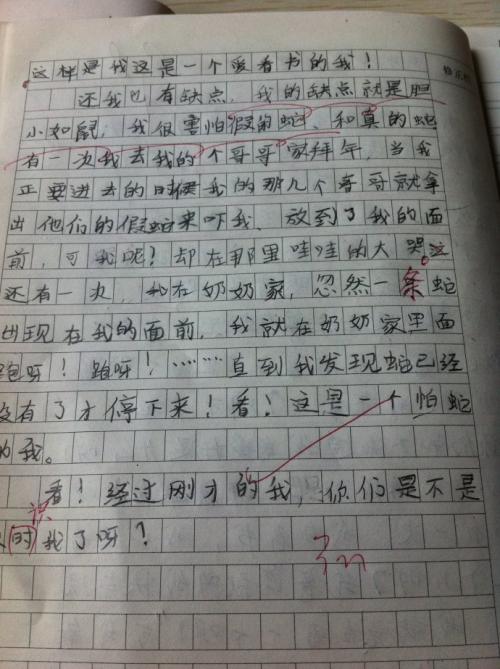 访问商场_250字