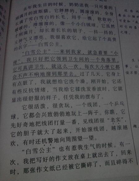 关于和谐：和谐与和谐_350字