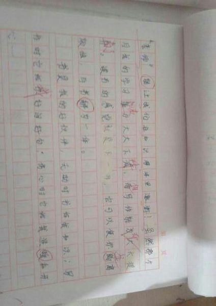 作文与和谐：温暖，和谐的家居_700字