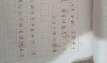 关于和谐的作文：温馨，和谐的家_700字