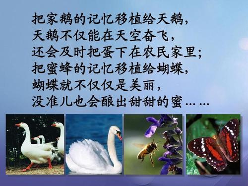 如果我记得移植的DAFA _650字