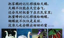 假如我会记忆移植大法_650字
