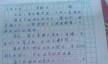 关于和谐的作文：和谐之我行_450字