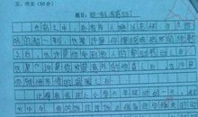 [写景感受作文]下雨天，真好！_650字