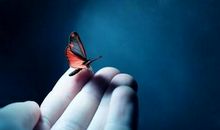 人心为什么而感动_350字