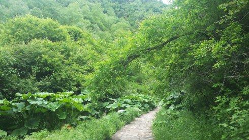 南山在家乡_450字