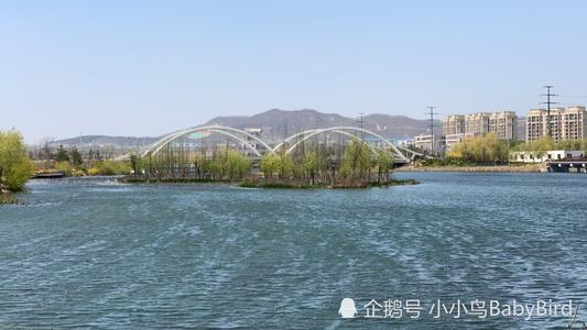 春天在湿地帕克350字