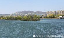 湿地公园的春色_350字