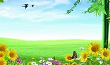 春天的美景_200字