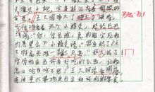 蚂蚁的秘密_350字