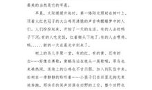 三年级写景作文：松树_300字