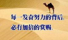 我拼搏我快乐名言_1500字