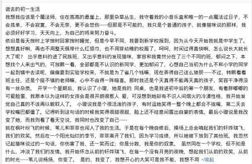 关于新年的一天成分200字：派对_350字