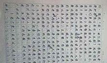 让爱心伴我而行_900字