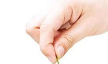 谁家竹马曾倾城_100字