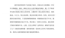 [超新星小学组]日记三则_800字