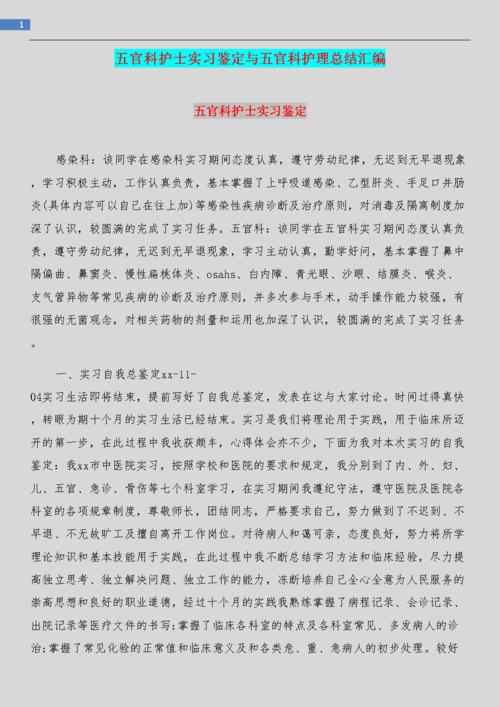 护士实习经验