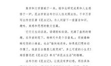 我的文学微观_550字