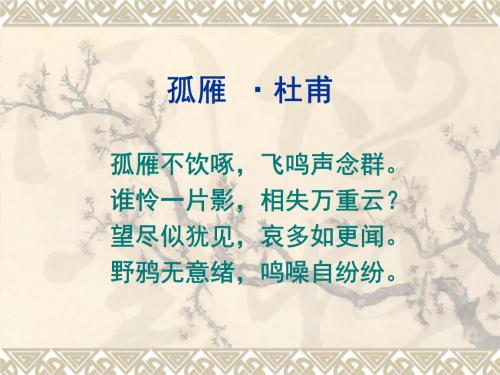 孤独的鹅不喝酒，飞过集团的声音。