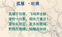 孤雁不饮啄，飞鸣声念群。