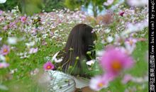 读《女孩子的花》_800字