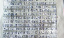 关于过年的作文：过年的期待_700字