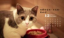 《什么仇，什么怨》